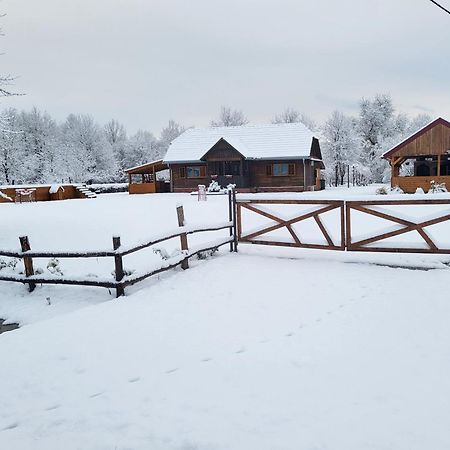 Kuca Za Odmor Jopi I Mare Villa Topusko Dış mekan fotoğraf