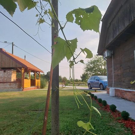 Kuca Za Odmor Jopi I Mare Villa Topusko Dış mekan fotoğraf