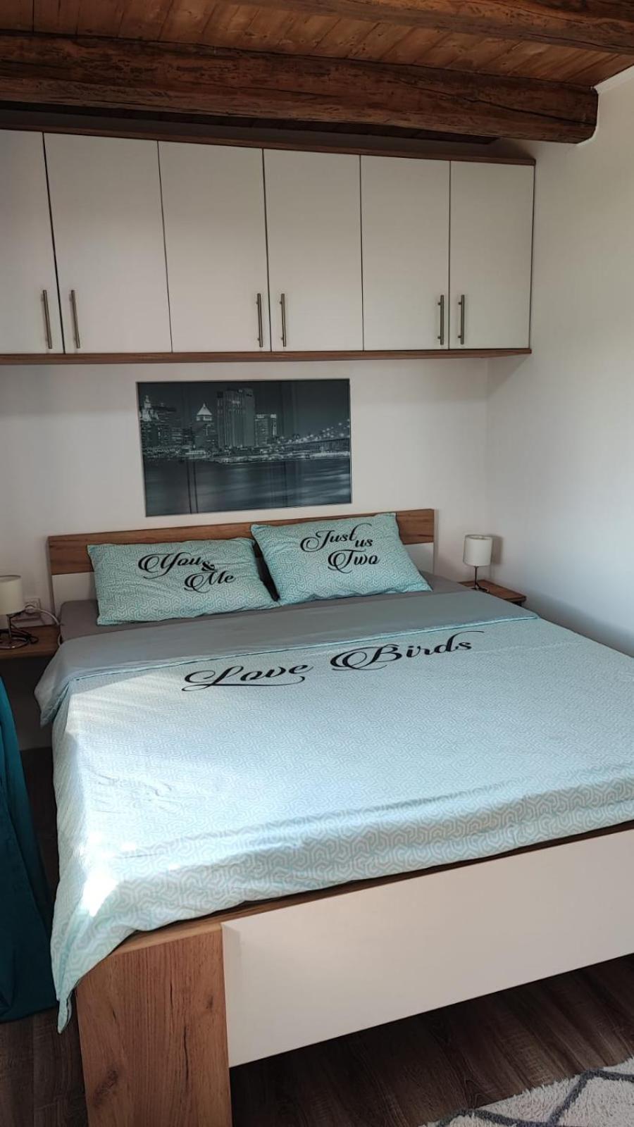 Kuca Za Odmor Jopi I Mare Villa Topusko Dış mekan fotoğraf