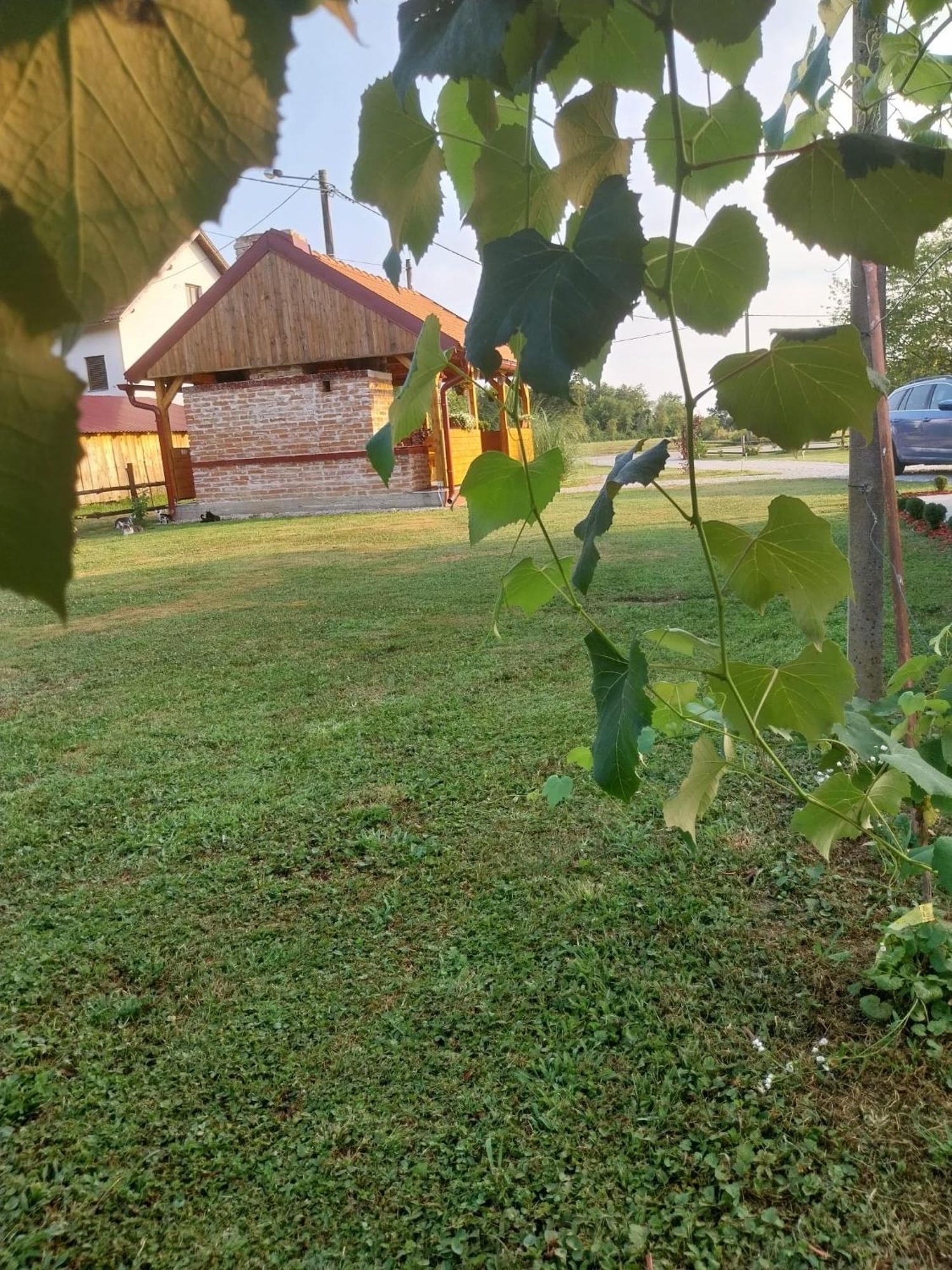 Kuca Za Odmor Jopi I Mare Villa Topusko Dış mekan fotoğraf